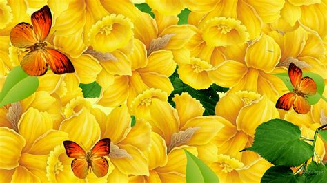 48 Colorful Butterfly Wallpaper