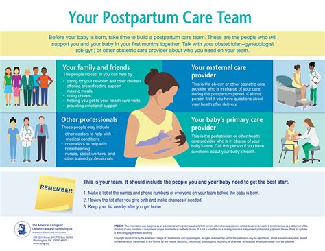 Your Postpartum Care Team Infographic Infographics