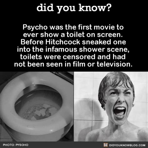 Psycho Was The First Movie To Ever Show A Toilet On Screen Before Hitchcock Sneaked One Into