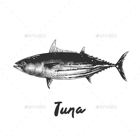 Tuna Graphics Designs And Templates Graphicriver