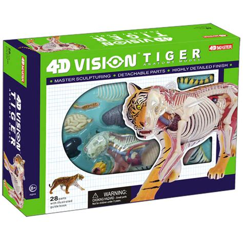 4d Vision Tiger Anatomy Model John Nhansen Company