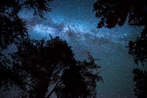 Gaze At Stunning Stars In Minnesotas First International Dark Sky Park