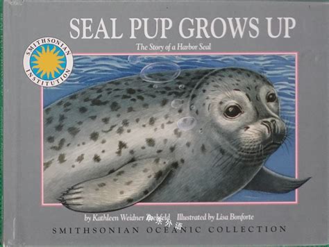 Seal Pup Grows Up The Story Of A Harbor Seal A Smithsonian Oceanic