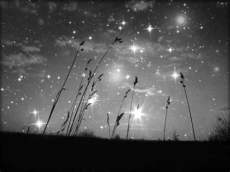 Only The Stars And Me Photograph By Marianna Mills Fine Art America