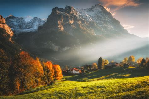 Swiss Alps Field Sunlight Trees 720p Grindelwald Fall Sun Rays