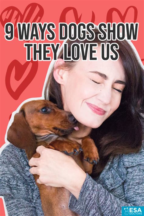 9 Ways Dogs Show They Love Us Esa Doctors