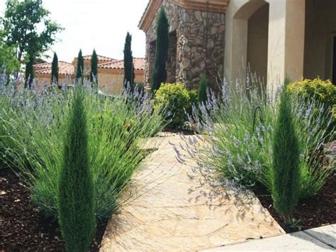 Dans un jardin méditerranéen, les pots en terre cuite sont incontournables. Plantes et aménagement jardin méditerranéen - 79 idées | Jardin méditerranéen, Amenagement ...