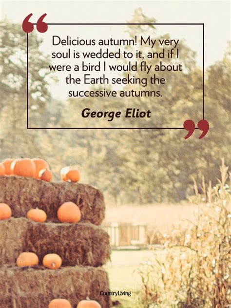 These Fall Quotes Will Remind You Just How Beautiful This Season Is