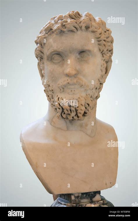 Portrait Bust Of The Roman Emperor Septimius Severus Early 3rd Century