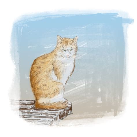 Download Cat Ginger Pet Royalty Free Stock Illustration Image Pixabay