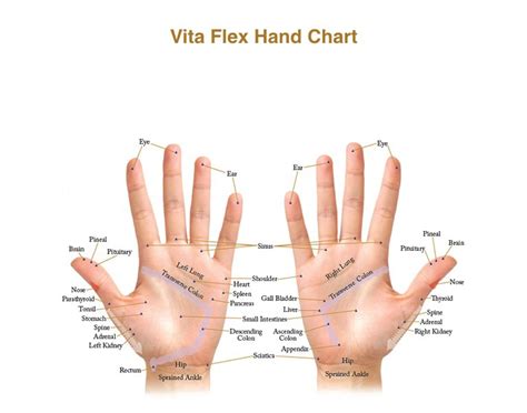 Vita Flex Therapy — Woman With Mind