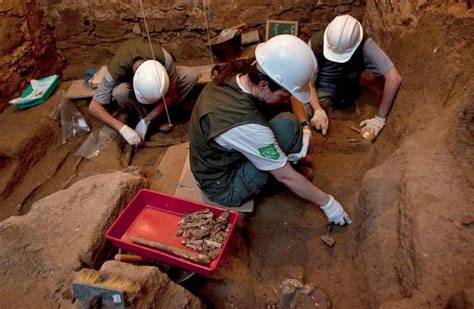 Arqueología Historia Qué Estudia Ramas Importancia Métodos
