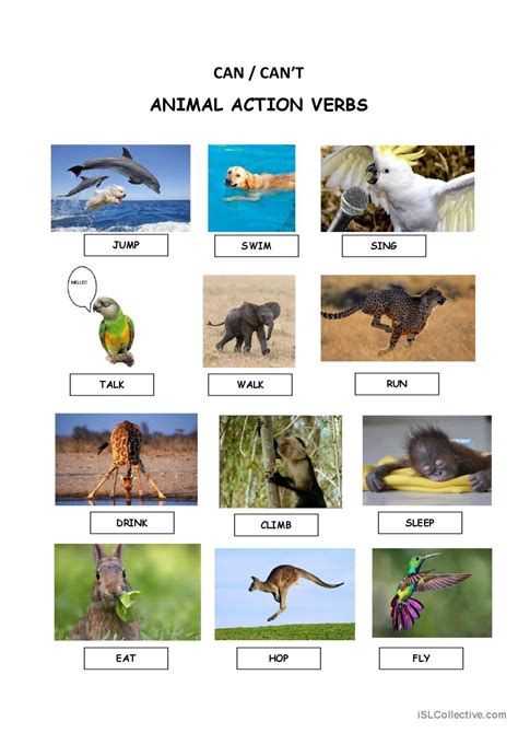 Animal Action Verbs Pictionary Pict English Esl Worksheets Pdf And Doc