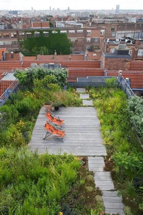 Urban Roof Terrace Rooftop Garden Roof Garden Terrace Garden