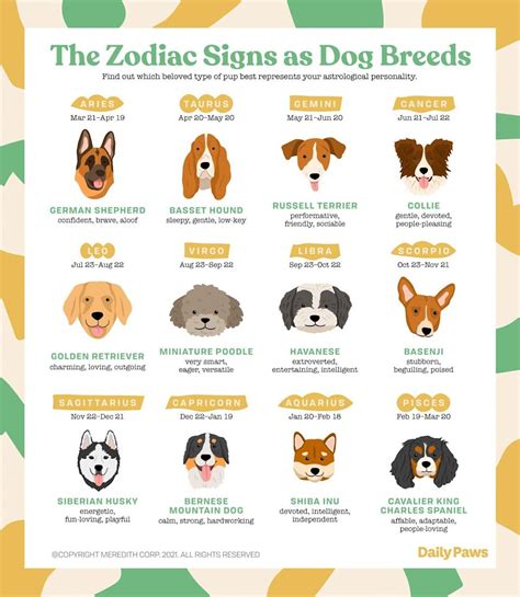 Which Dog Breed Would You Be Based On Your Zodiac Sign Zodiac Signs