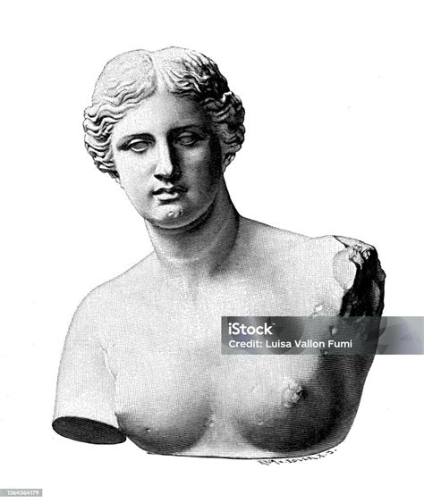 buste et tête en marbre de la sculpture grecque antique de la vénus de milo de la période