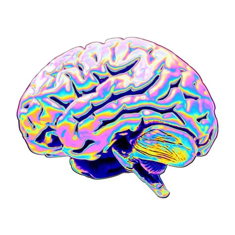 Brain Holographic Aesthetic Vaporwave Sticker By Dayerz
