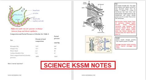 Think critically and give points of view on issues related posts spm est format scientific reading: Science KSSM 2020 Updated Notes - Exam Tips UPSR PT3 SPM ...