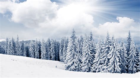 Download, share or upload your own one! Snowy Winter Wallpapers High Quality | Download Free