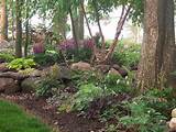 Wooded Backyard Landscaping Pictures Pictures