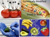 PPT - Genetically Modified Foods: Good or Bad? PowerPoint Presentation ...