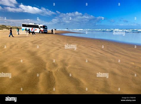 Ninety Mile Beach New Zealand Tour Bus And Group Of Tourists Stock