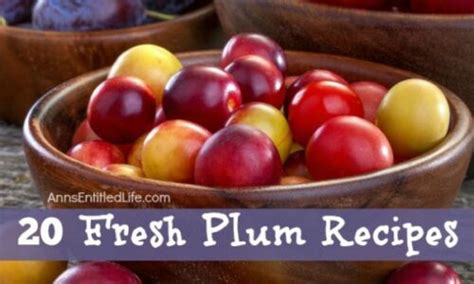 20 Fresh Plum Recipes