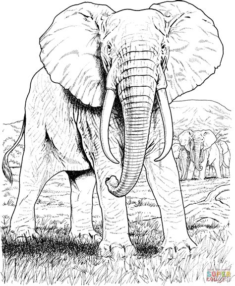 Desenho De Elefante Africano Para Colorir Desenhos Para Colorir E