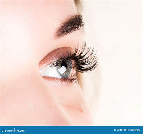 Beautiful Young Woman Eyelash Extension Woman Eye With Long Eyelashes
