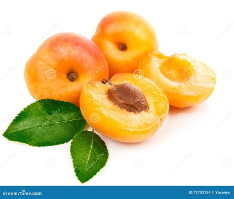 Fresh Apricots In Section With Green Leaves Stock Photo Image Of Slit