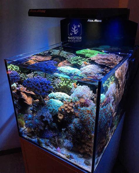 The Nano Reef Blueprint Mister Nano Reef