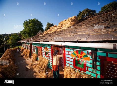 Indian Woman In His Tipycal Kumaoni House Where A Bunch Of Wheat Is Drying In The Sun Kala