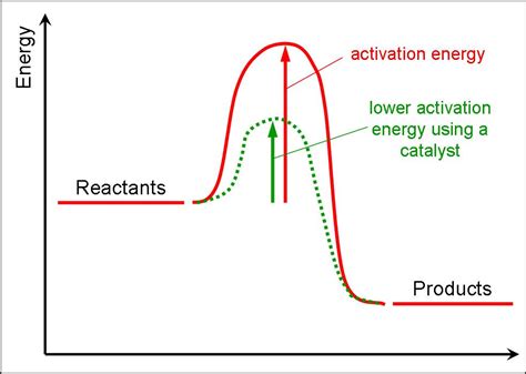 How do enzymes decrease activation energy? 301 Moved Permanently
