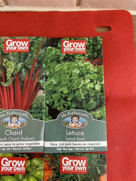 Vegetable Seeds Mixed Varieties 10 Packs Offer Easy To Grow Mr Fothergills Ebay