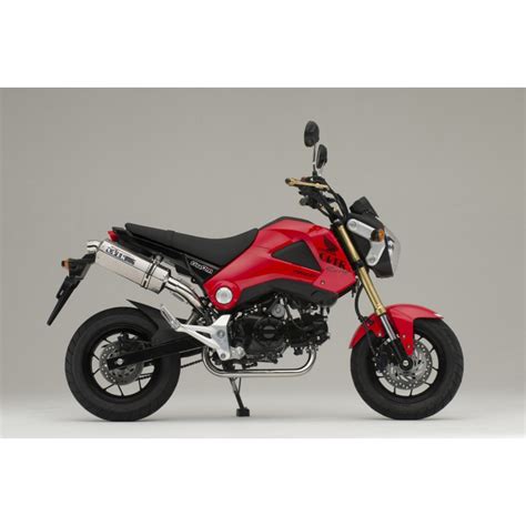 Honda motorcycles, scooters & atvs: Exhaust Over TT Formula Down stainless titanium muffler ...