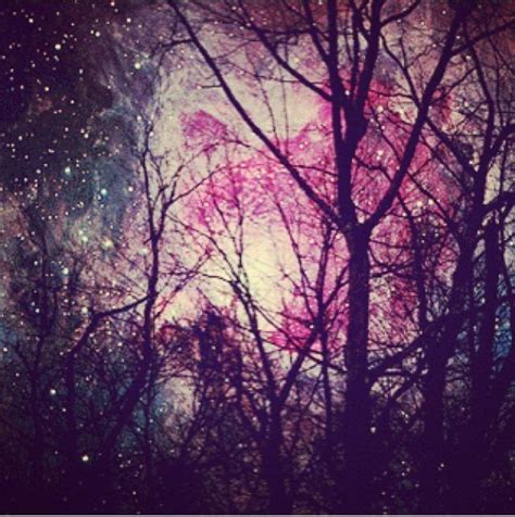 Pink Sky Sky Pink Scenic Woods Universe Instagram Instagram Pictures