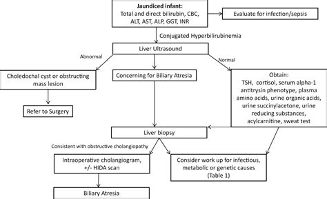 Neonatal Cholestasis Pediatric Clinics