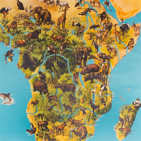 Map Of Animals In Africa Map Of Africa