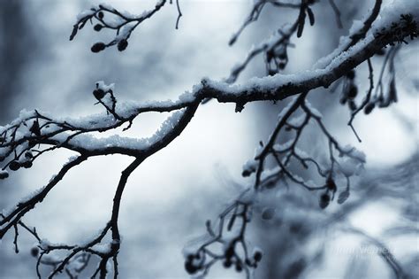 Covered With Snow Blog Joni Niemelä Fine Art Photography
