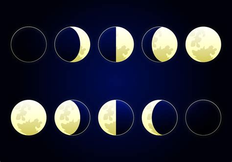 Moon Phase Vector Illustration Download Free Vector Art Stock
