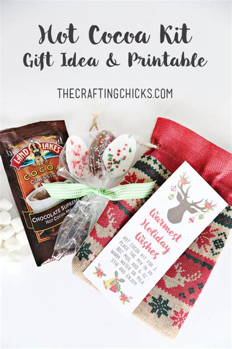Hot Cocoa Kit T And Free Printable Tag