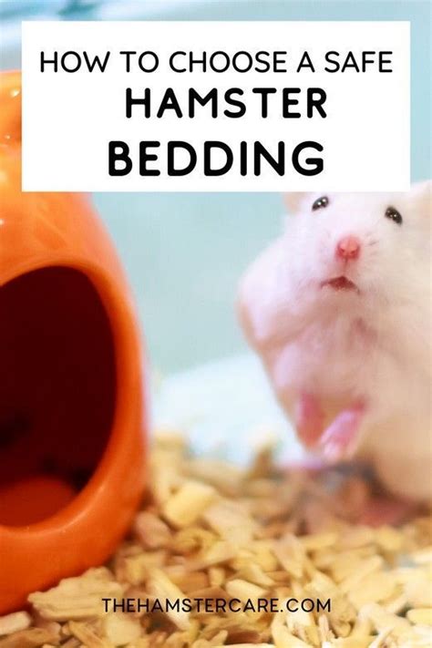 Safest And Best Hamster Bedding Must Use And Must Not Use Bedding