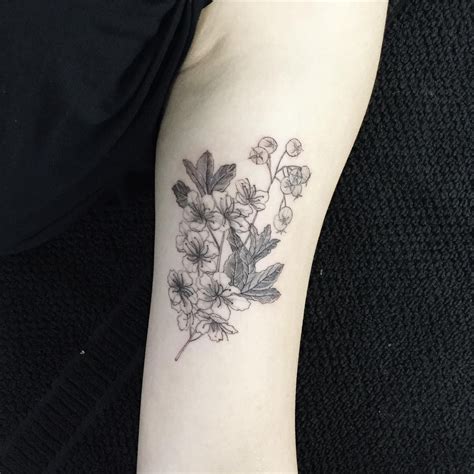 Scroll down and check out our silhouette images, pictures, grouped under the category hawthorn flower tattoo and select and use the best ones for your use in applications involving image designing. Pin on art