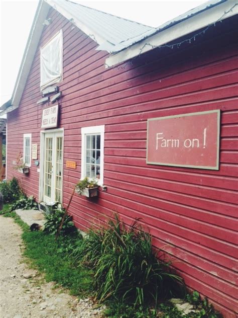 Gallivant Londonderry Vermont Taylor Farm — The Gallivant