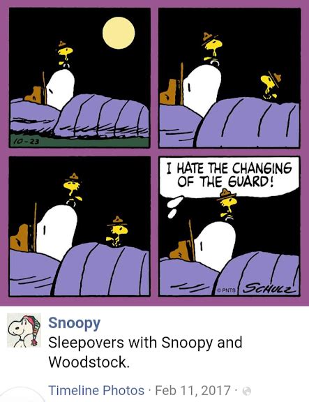Pin By Kc Carroll On Cartoon Pics All Kinds Snoopy Funny Snoopy