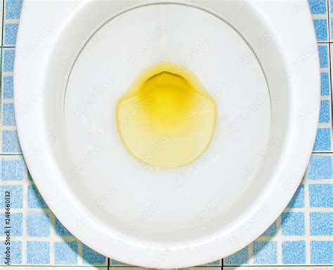 Urine Or Yellow Pee In A Bowl Wash The White Bowl In The Toilet Bowl Sprinkle With Urine