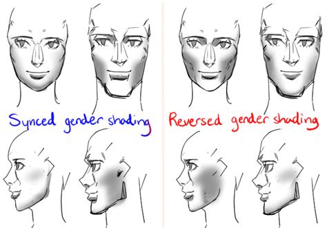 Lets Draw Male Vs Female Anatomy Literature Library