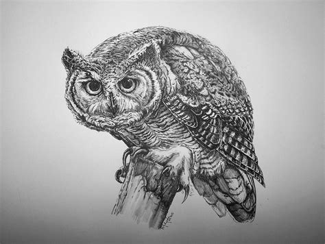 Full Body Great Horned Owl Drawing Ronnievanzanttattoo
