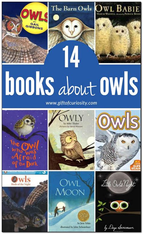 Books About Owls For Kids Owl Kids Books Owl Activities