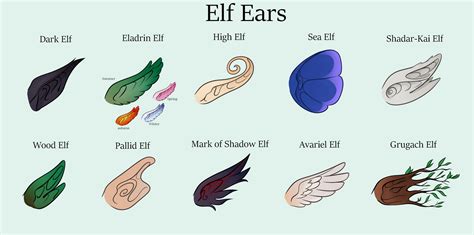 I Thought I Would Share How I Stylize Each Type Of Elven Ear And Put It